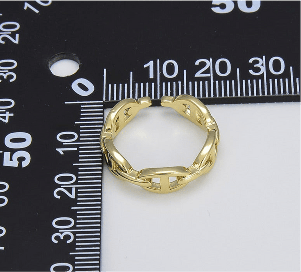 Dunia - Adjustable Chain Link Ring